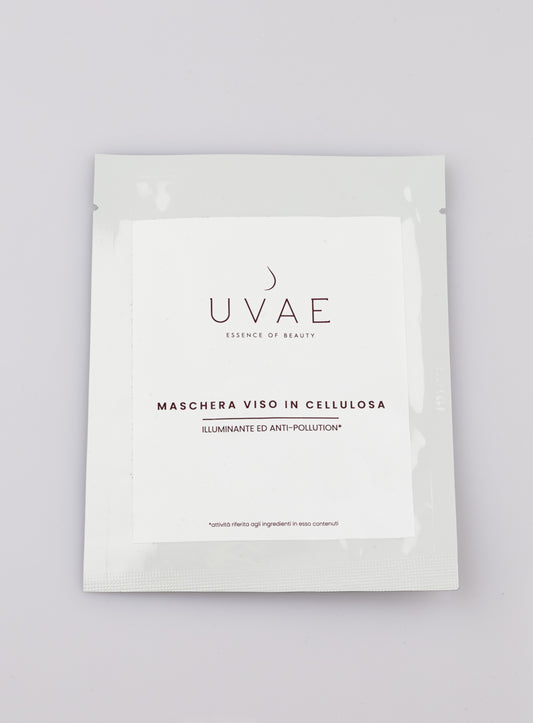 Purifying Face Mask